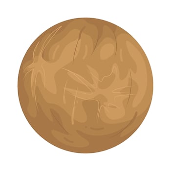 Illustration of a Venus vector