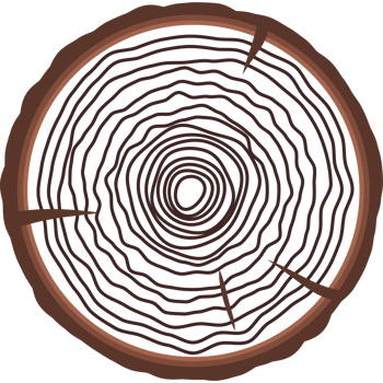 Saw cut tree trunk flat style brown color isolated png