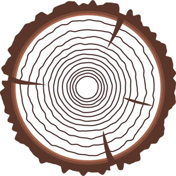 Saw cut tree trunk brown color flat style png