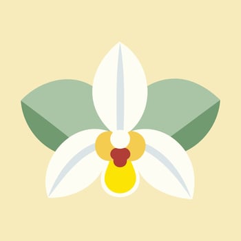 Orchid Flower Minimal Illustration Modern Botanical Floral Art in Soft Pastel Colors Decorative Flat Digital Design for Prints Backgrounds and Graphic Design vector