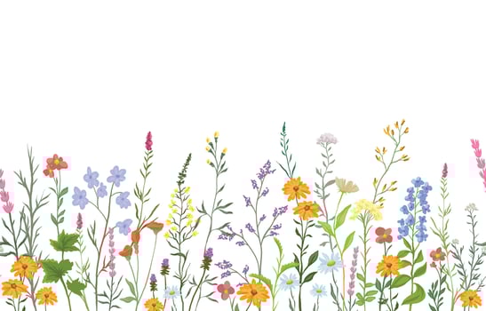 illustration of background with various wildflowers and delicate plants, seamless from right to left vector