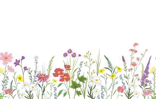 illustration of background with various wildflowers and delicate plants, seamless from right to left vector