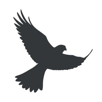 Majestic falcon silhouette vector