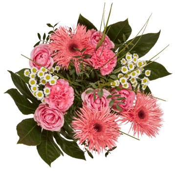 Pink flower bouquet, top view cut out isolated transparent background png