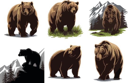 Grizzly Bear Illustrations vector