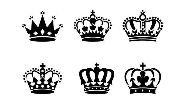 Set Of Elegant Black and White Crown Icons vector