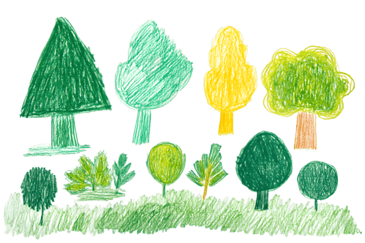 Colorful Crayon Drawings of Trees and Shrubs on Green Grass png