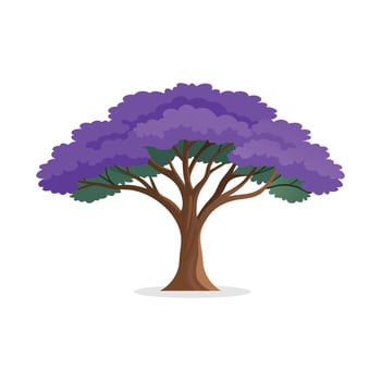 Jacaranda tree isolated flat illustration on white background. vector