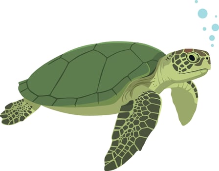Green sea turtle swimming in a detailed flat illustration vector