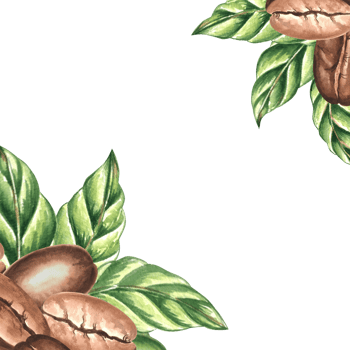 Roasted coffee beans with green leaves. Template postcard, corner border with copy space. Watercolor hand drawn illustration isolated. Square frame of Arabica grain. Clipart for print, packaging, cafe png