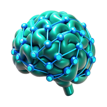 Neural Networks Brain Connectivity and Cognitive Function png