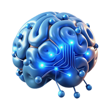 Neural Network Brain Circuitry Cognitive Processes png