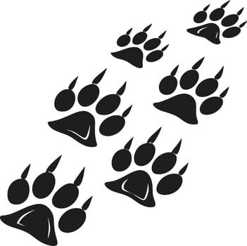 Wild Animal Paw Prints Silhouette Design vector