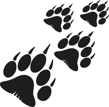 Animal Paw Trail Silhouettes in Nature vector