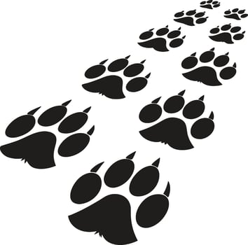 Paw Print Silhouettes Animal Tracks in the Wild vector