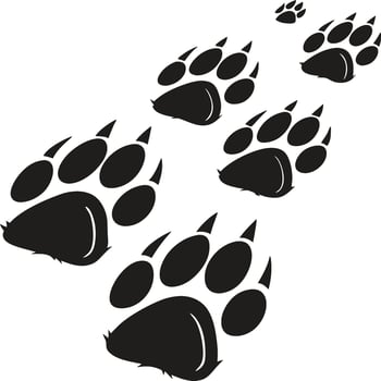 Animal Paw Print Silhouette Trail vector