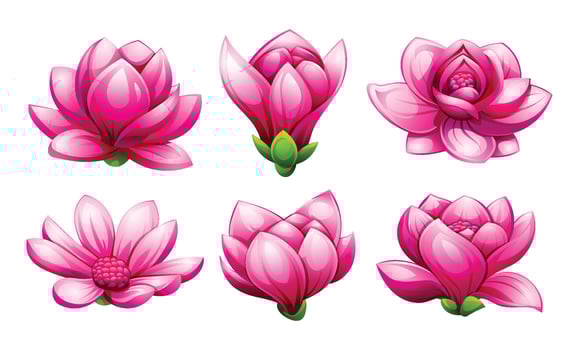 Set of beautiful pink magnolia flowers. Cartoon illustration vector