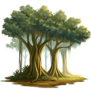 Forest tree transparent png