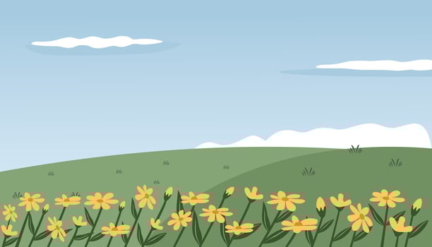 Daisy flower on the hill. Blooming daisy flower. Spring season. Beautiful flower. Flower hill. Yellow flowers. vector