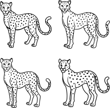 Wild Animal Cheetah Coloring Pages for Kids vector