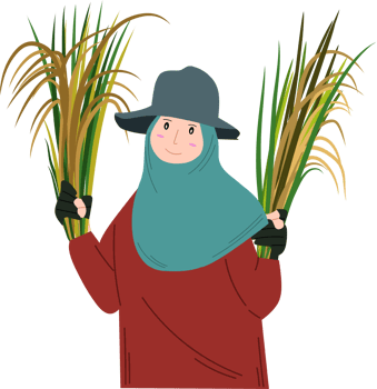 Female farmers harvesting rice clipart drawing png