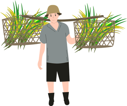 A farmer carries rice with basket clipart png