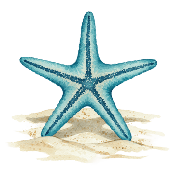 Blue Starfish on Sandy Beach Watercolor Painting Summer Ocean Sea Art Teal Marine Nature Animal png