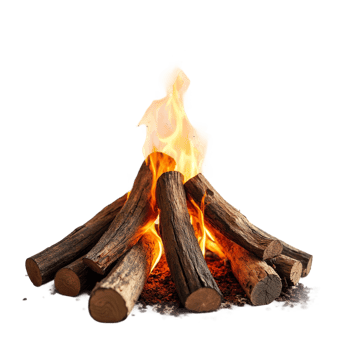 Burning Wood Logs Campfire Night Flame Firewood hot heat dark glow wild fuel light blaze warmth png
