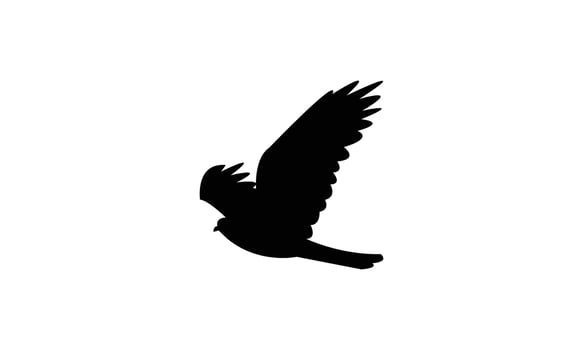 Flying African cuckoo hawk bird black Silhouette Design vector