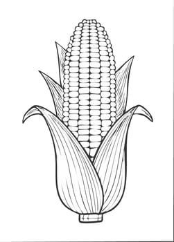 Corn Vegetable Spice Vegan Food Meal Healthy Coloring Kid Book Page in Black White. Monochrome and Colored Samples vector