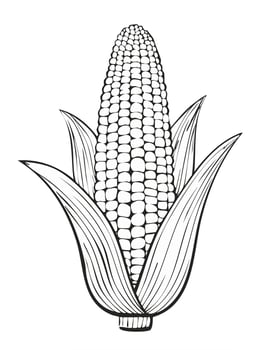 Corn Vegetable Spice Vegan Food Meal Healthy Coloring Kid Book Page in Black and White. Monochrome and Colored Samples vector