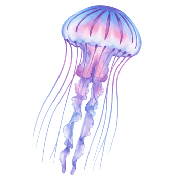 Elegant Watercolor Jellyfish Purple Pink Ocean Sea Life Art Design Image Marine Animal Nature png