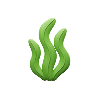 Abstract Green Seaweed 3D Render Illustration Nature Aquatic Design Element Art Wave Leaf Plant png