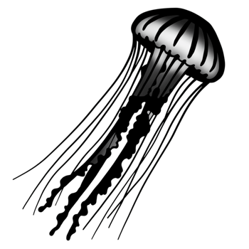 Elegant Silver Jellyfish Ocean Design Graphic Art Print Sea Black White Image Marine Animal Nature png
