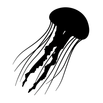 Elegant Line Art Jellyfish Ocean Wildlife Design Illustration Sea Black White Marine Animal Nature png