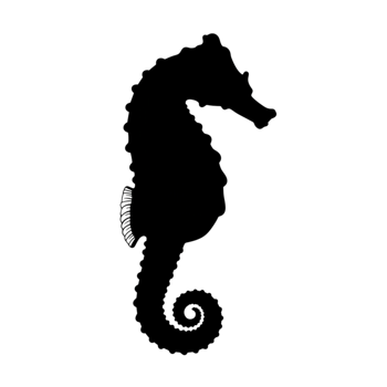 Elegant Seahorse Line Art Design Ocean Animal Illustration Graphic Life Image Black White Marine png