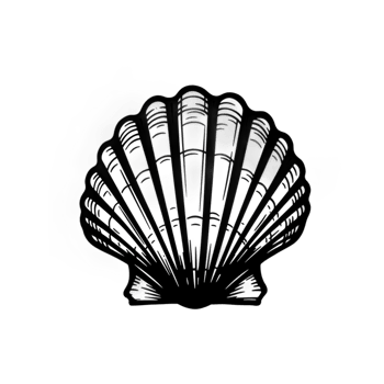 Elegant Black and White Seashell Illustration Graphic Design Ocean Beach Image Style Summer Nature png