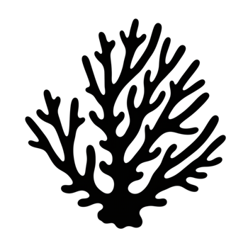 Elegant Black Coral Silhouette Nature Design Graphic sea art dark reef ocean marine branch png