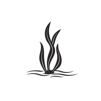 Simple Dark Seaweed Aquatic Plant Illustration art icon ocean black water flora nature design png