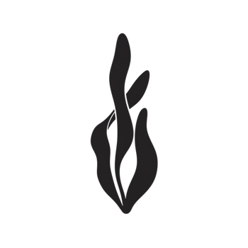 Elegant Dark Abstract Seaweed Design Illustration Graphic Art Leaf Plant Black Image Water Ocean png