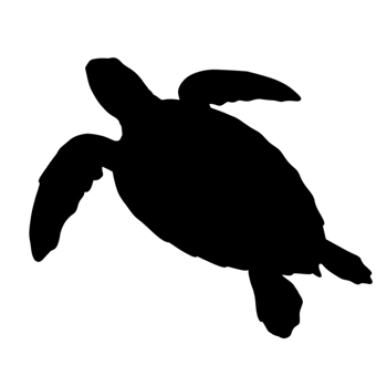 Elegant Sea Turtle Outline Minimalist Graphic Design Illustration Art Ocean Black White Image Animal png