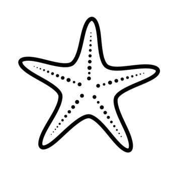 Simple White Starfish Ocean Sea Animal Design Illustration art icon black beach image summer marine png