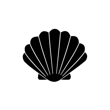 Simple Elegant Seashell Outline Icon Graphic Design Art Ocean Beach White Black Clean Image Summer png