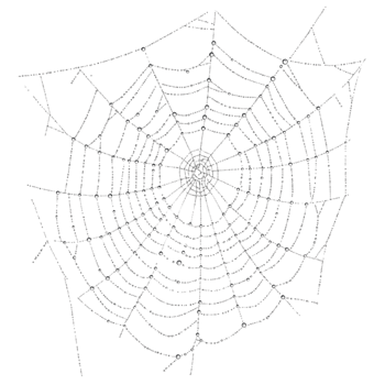 Intricate Dewdrop Spiderweb Nature Design Element Art Gray Black White Image Autumn Texture png