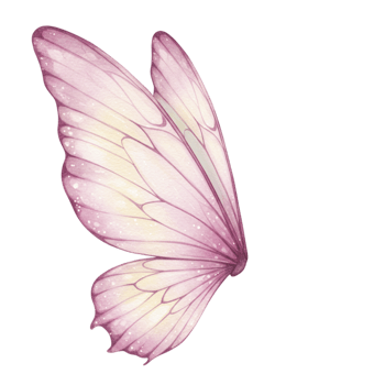 Delicate Watercolor Fairy Wings Pink Pastel Design Fantasy Illustration Art Soft Cute Moth Magic png