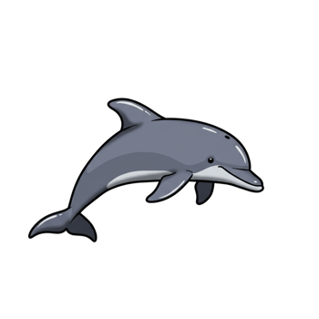 Happy Gray Dolphin Leaping Ocean Wildlife Animal Aquatic Nature Sea Fun Art Cute Water Image Mammal png