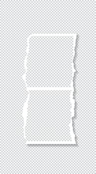 Photo Frame isolated vector