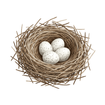 Speckled Bird Eggs in Rustic Brown Nest Spring Nature New Home Life Hope White Design Family Symbol png