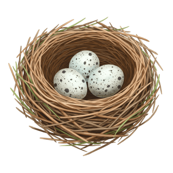 Three Speckled Bird Eggs in Rustic Nest Spring Nature cute life ovals brown white black spots twigs png