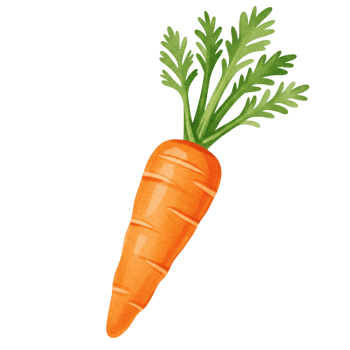 Fresh Orange Carrot Vegetable Illustration Healthy Food Design Diet Root Farm Image Nature Recipe png